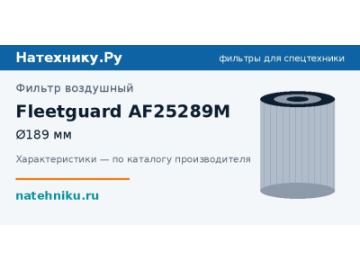 Фильтр воздушный Fleetguard AF25289M
