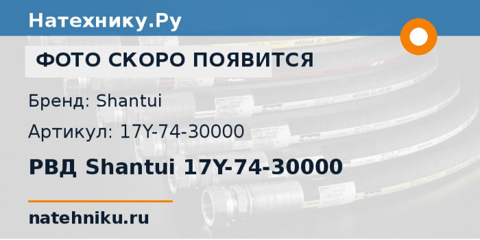 РВД Shantui 17Y-74-30000
