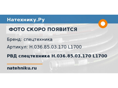 РВД спецтехника Н.036.85.03.170 L1700