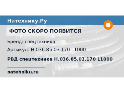 РВД спецтехника Н.036.85.03.170 L1000