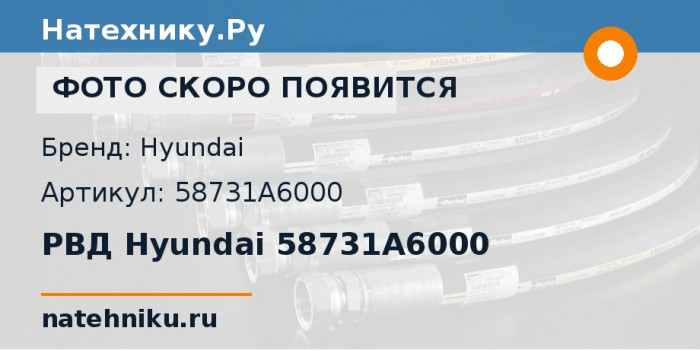 РВД Hyundai 58731A6000